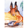 Squirrel