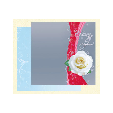 Happy March 8! White rose on decorative gray background