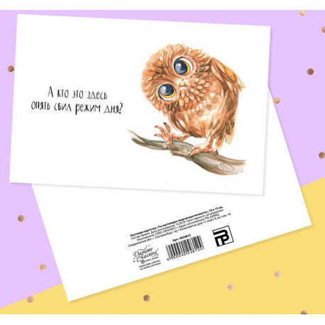 "You are a real creative person" owl