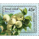 Flora of Russia. Apple varieties