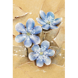 Весенние цветы (мини-открытка)