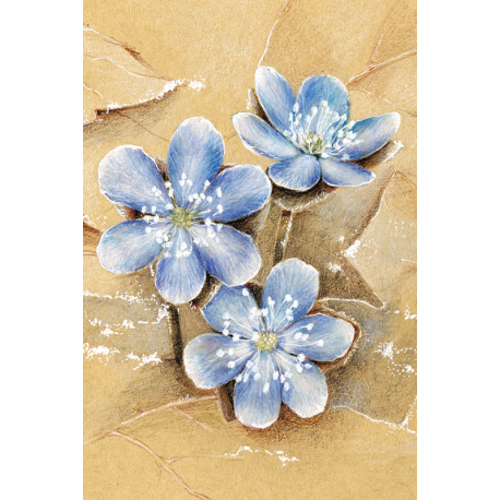 Весенние цветы (мини-открытка)