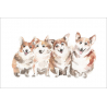 Corgis