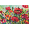 Poppies