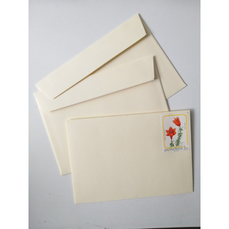 Envelope C6 with a canceled postage stamp "Lilies"