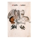 Коллекция:Книга эскизов эпохи Тюдоров, 1504 г.