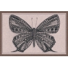 Papilio