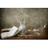 Forgotten sonnets