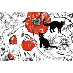 Cats and Poppies