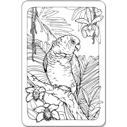 Parrot and orchids