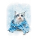 Winter - season scarves