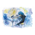 The world of dolphins. Pianist Vincent