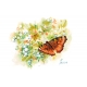 Butterfly and snowberry