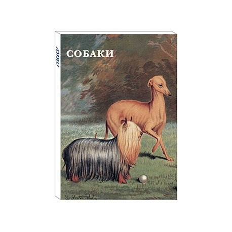 Dogs - a set of 15 postcards